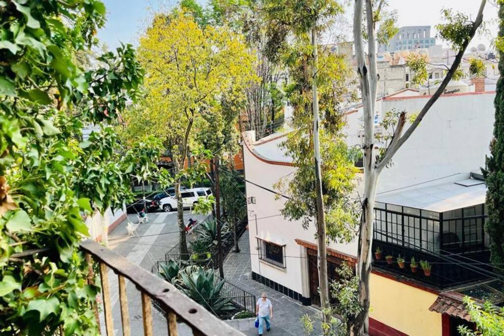 Tizapan 5 Amazing Aptm 1be/1ba * Mexico City